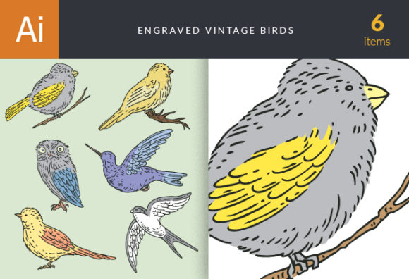 Engraved Vintage Birds Vector Set 1 1
