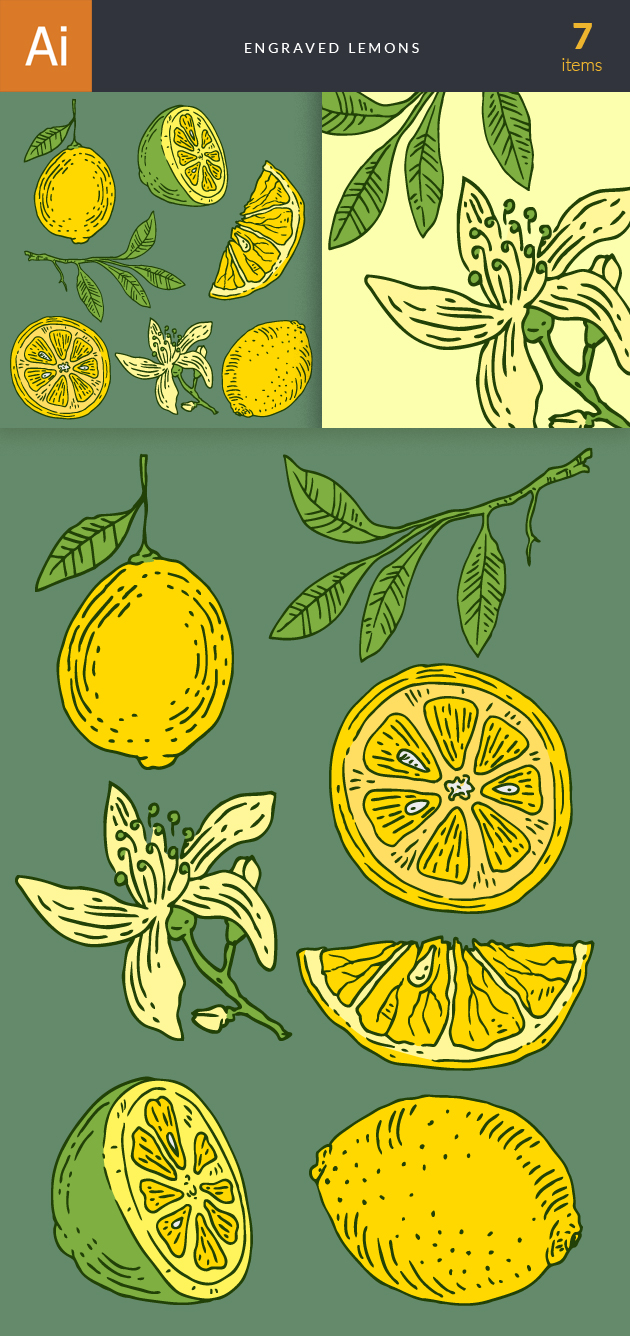 Engraved Lemons Vector Set 1 2