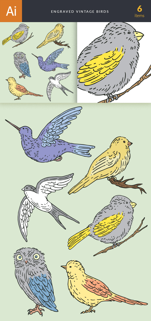 Engraved Vintage Birds Vector Set 1 2