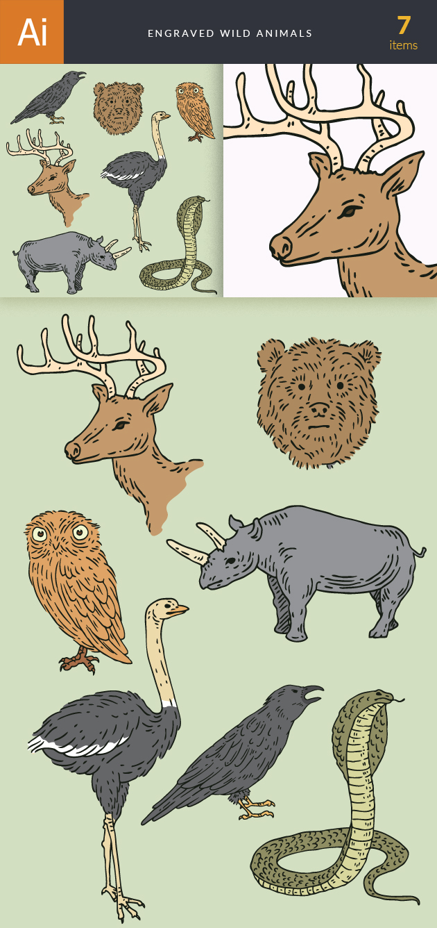 Engraved Wild Animals Vector Set 1 2