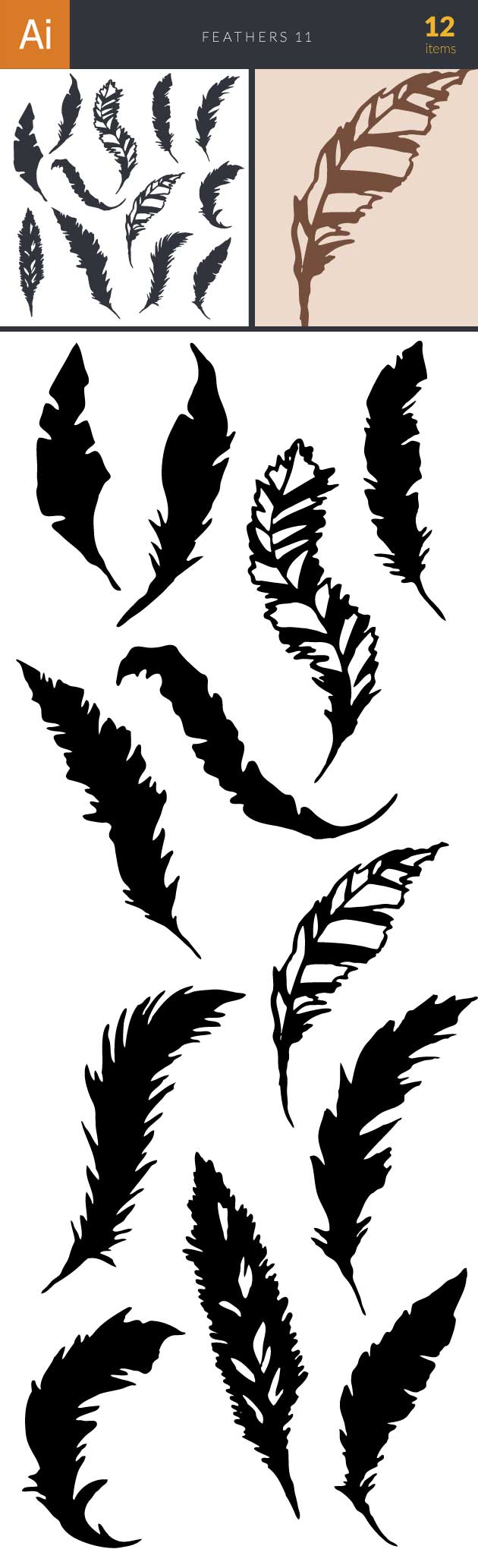 Feathers Vector Set 11 2