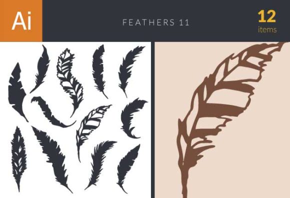 Feathers Vector Set 11 1