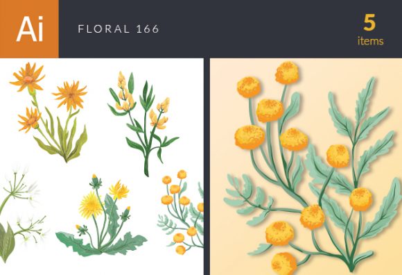 Floral Vector Set 166 1