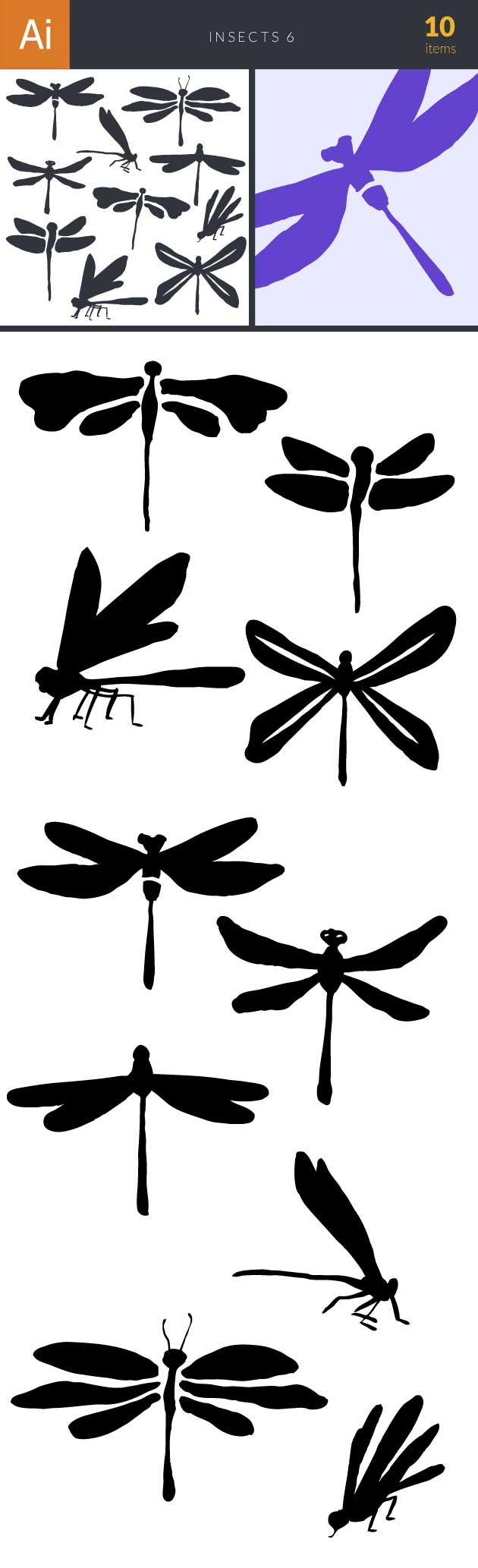 Insects Vector Set 6 2