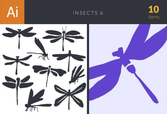 Insects Vector Set 6 1