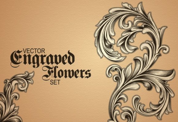 Vector engraved floral elements 1