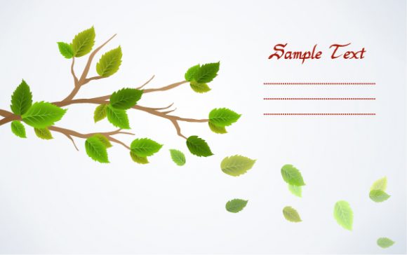 vector spring background with leaves 1