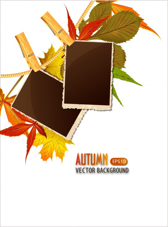 vector autumn background 1