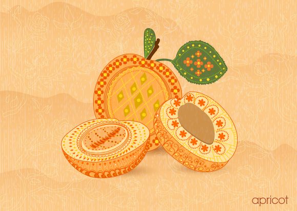 Awesome Plant Vector Art: Vector Art Vintage Background With Apricot 1
