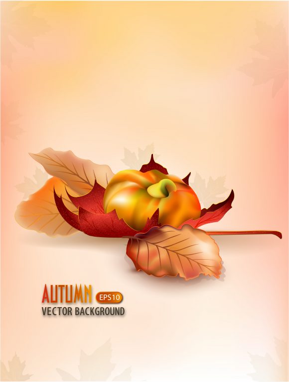 autumn background vector illustration 1