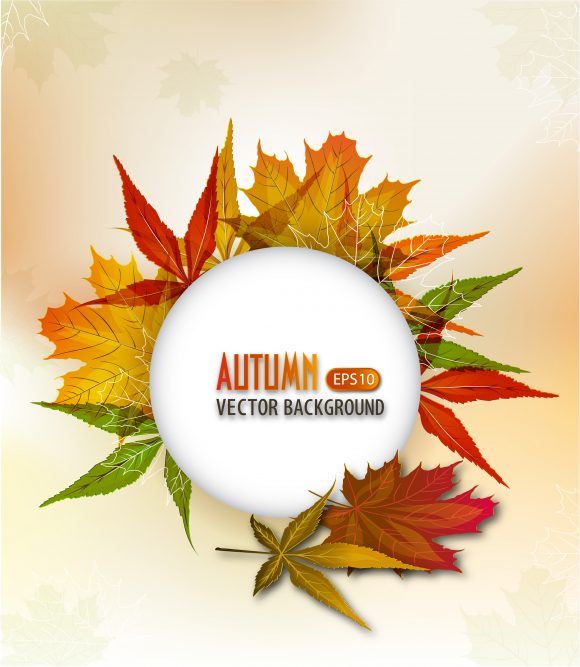 Download Autumn Vector Illustration: Autumn Frame Vector Illustration Illustration 1