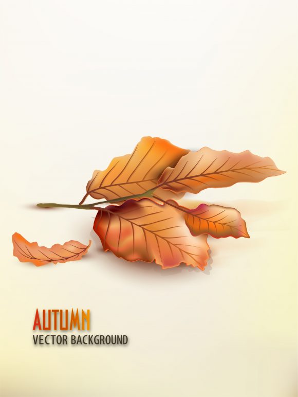 Of Vector Background Vector Autumn Background  Lots Of Leaves 1