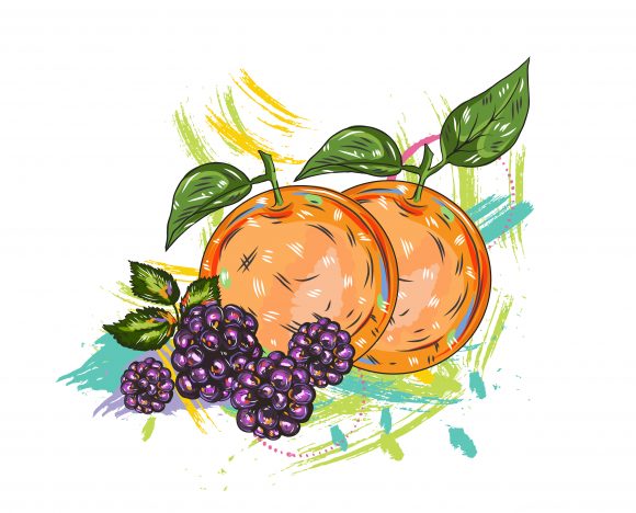 Trendy Colorful Vector Artwork: Vector Artwork Fruits With Colorful Splashes 1