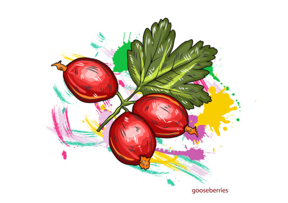 Colorful Vector Artwork: Vector Artwork Gooseberries With Colorful Splashes 1