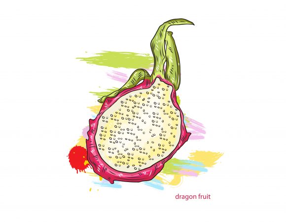 Dragon, Colorful Vector Illustration Vector Dragon Fruit Colorful Splashes 1
