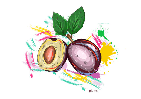 Special Plums Vector: Vector Plums With Colorful Splashes 1