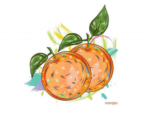 vector oranges with colorful splashes 1