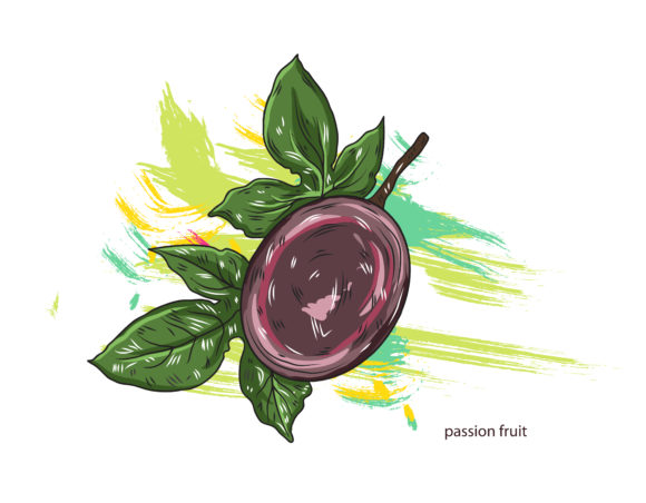 Colorful Vector: Vector Passion Fruit With Colorful Splashes 1