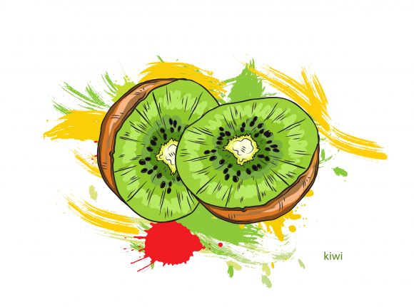 Green Vector Design: Vector Design Kiwi With Colorful Splashes 1