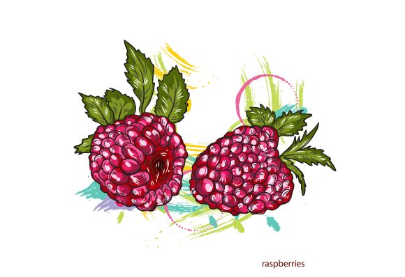 Colorful, Raspberries Vector Artwork Vector Raspberries  Colorful Splashes 1