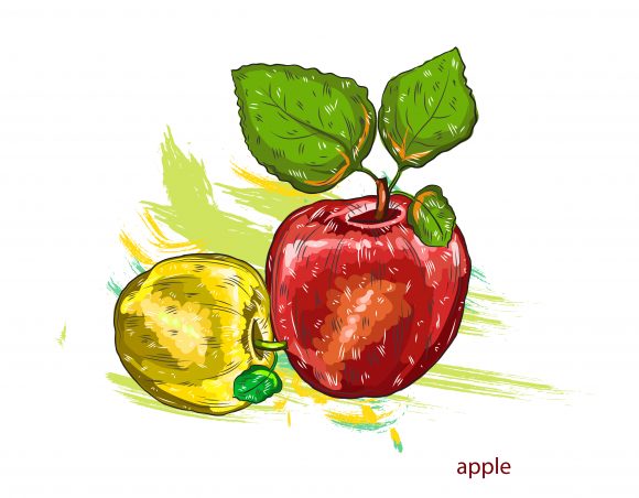 Colorful Vector Vector Apples  Colorful Splashes 1