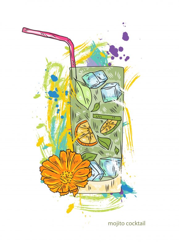 mojito cocktail vector  illustration 1
