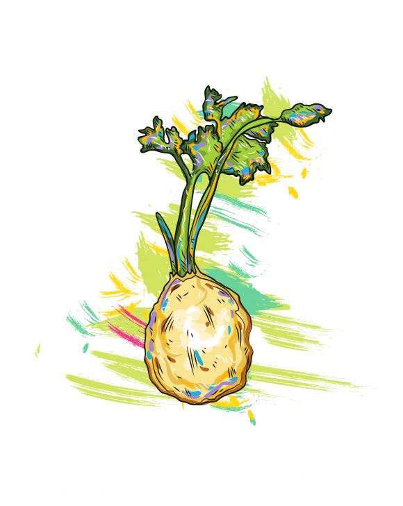 Food, Healthy, Grunge Eps Vector Vegetables  Grunge Vector  Illustration 1
