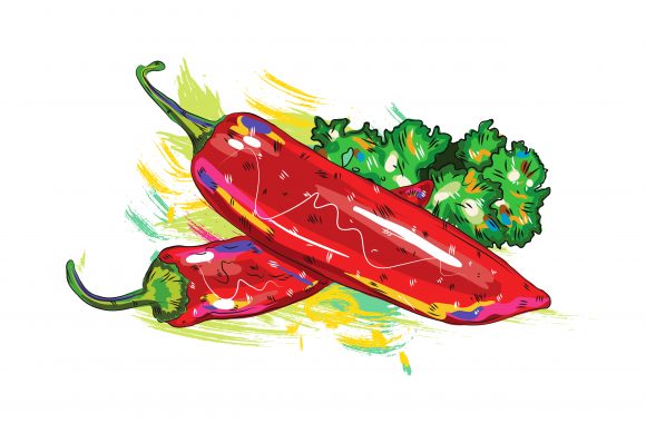 Trendy Illustration Vector Design: Vegetables With Grunge Vector Design  Illustration 1