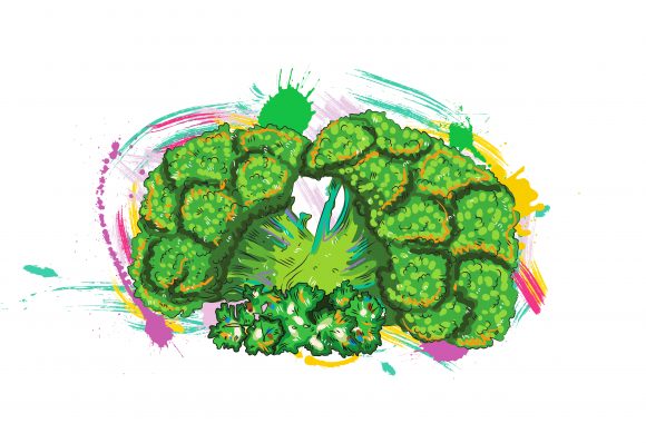 Lovely Rusty Vector Illustration: Vegetables With Grunge Vector Illustration  Illustration 1