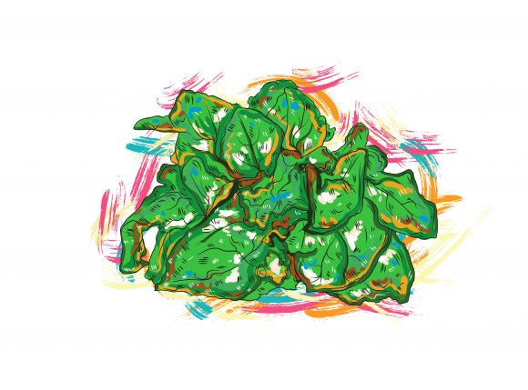 Green, Illustration Vector Graphic Vegetables  Grunge Vector  Illustration 1