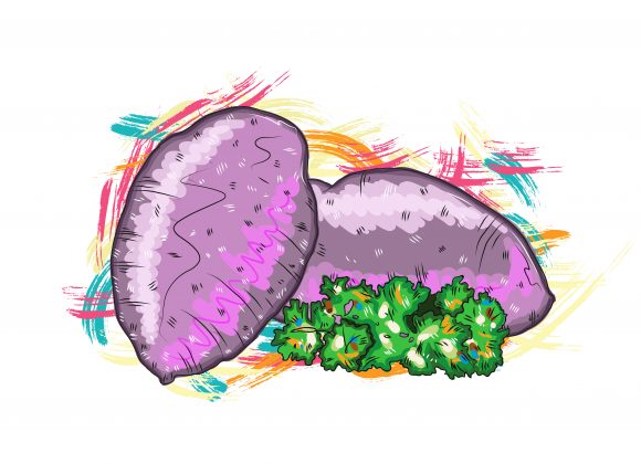 Illustration Vector Artwork: Vegetables With Grunge Vector Artwork  Illustration 1