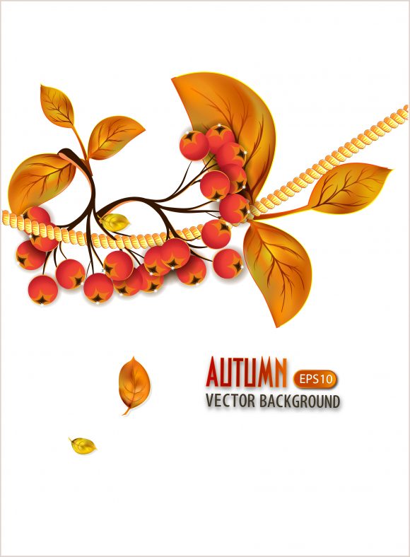 vector autumn background with leaves 1