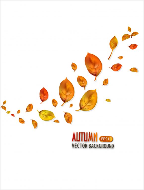vector autumn background with leaves 1