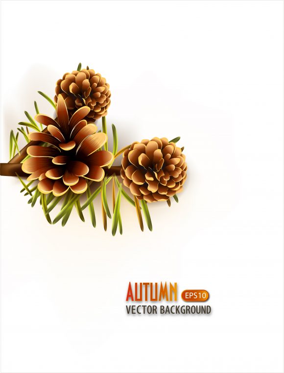vector autumn background with pine 1