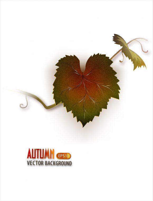 Grape Vector Artwork: Vector Artwork Autumn Background With Grape Vine 1
