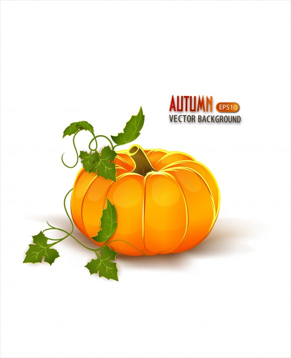vector autumn background with pumpkin 1