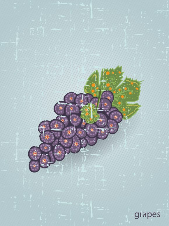 vector vintage background with grapes 1