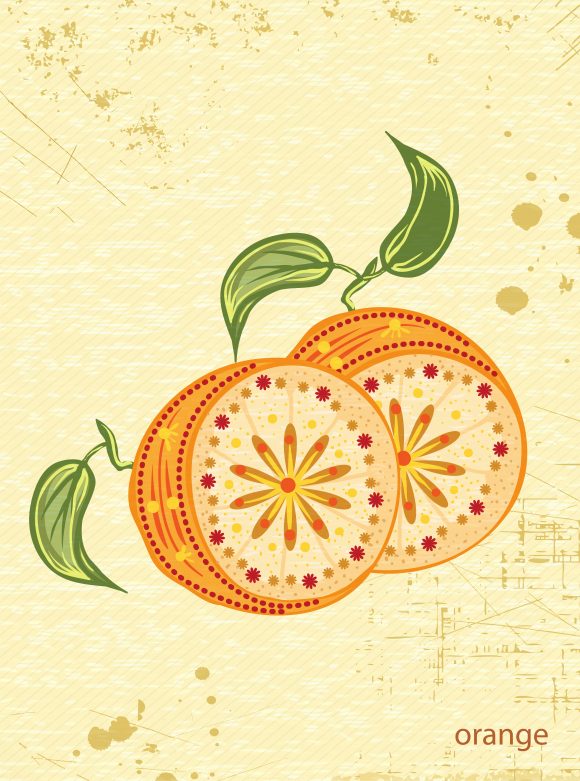 vector vintage background with oranges 1