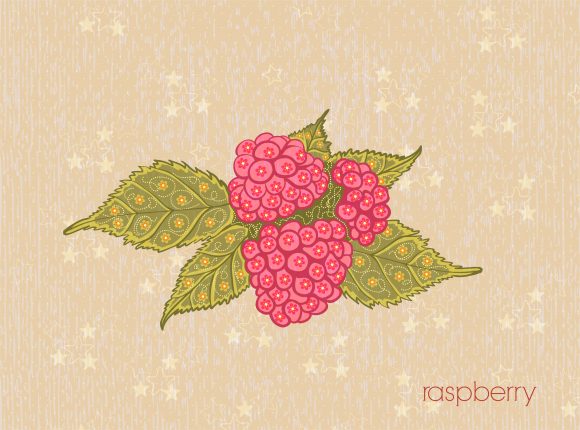 vector vintage background with raspberry 1