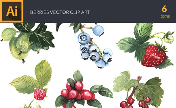 Watercolor Berries Vector Clipart 1