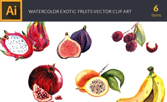 Watercolor Exotic Fruits Vector Clipart 1
