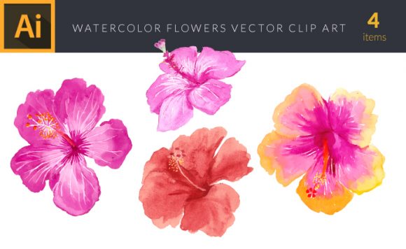 Watercolor Hibiscus Flowers Vector Clipart 1