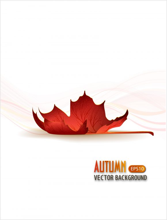 vector autumn background with leaf 1