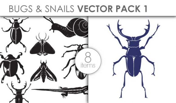 Vector Bugs Snails Pack 1 1