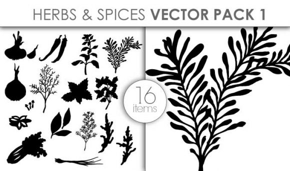 Vector Herbs And Spices Pack 1 1