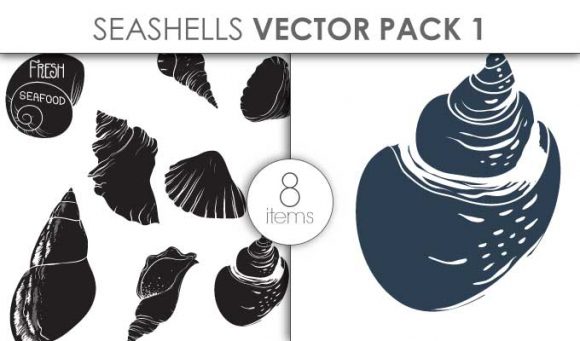 Vector Seashells Pack 1 1