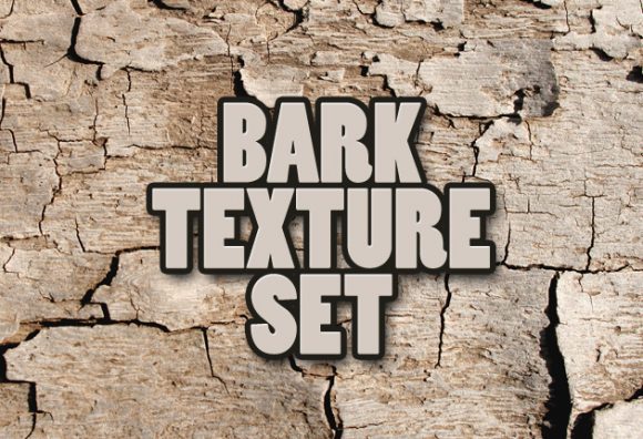 Bark textures 1