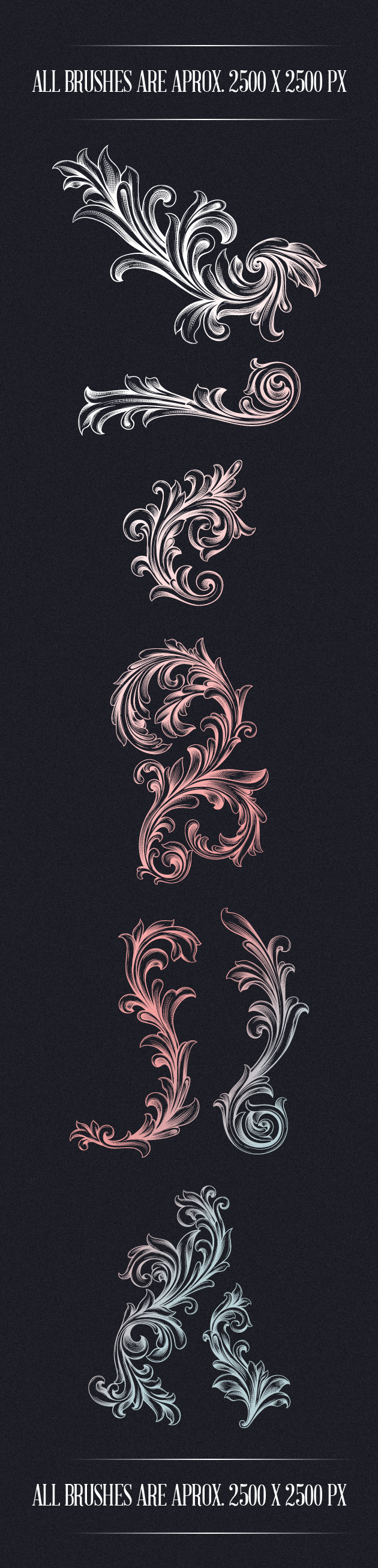 Engraved Floral Photoshop Brushes 2
