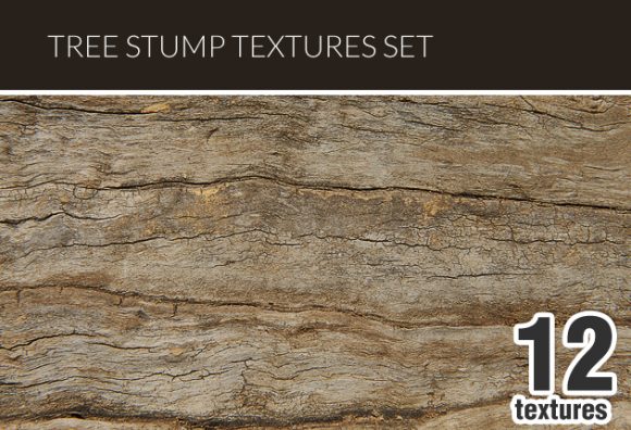 Tree Stump Textures Set 1 1
