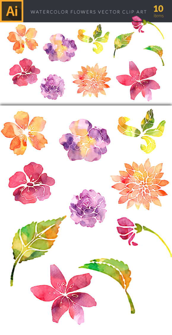 Watercolor Garden  Flowers Vector Set 2